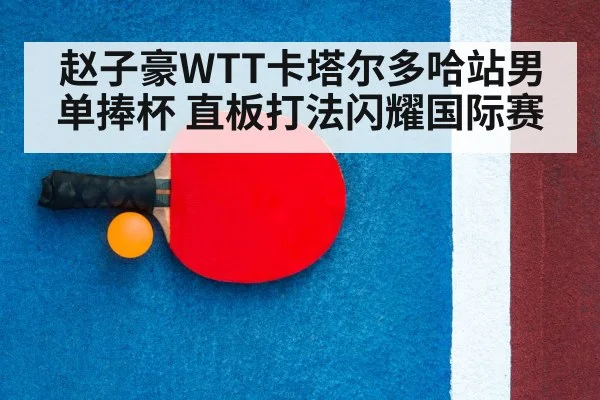 ping pong racket